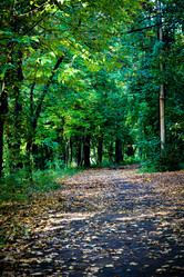 Similar image 805063