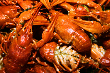 Similar image 805076