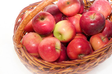 Similar image 805083