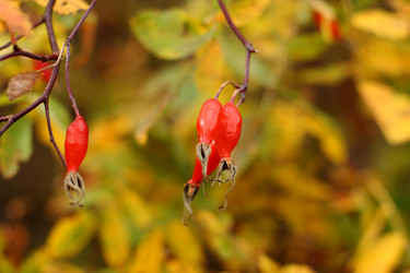 Similar image 805086