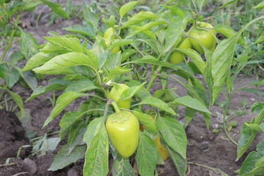 Similar image 805101