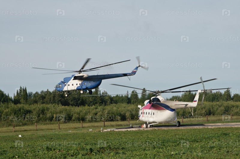 Фотография на тему Два вертолета | PressFoto