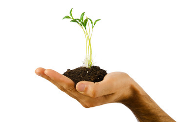 Similar image 805111