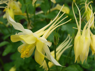 Similar image 805162