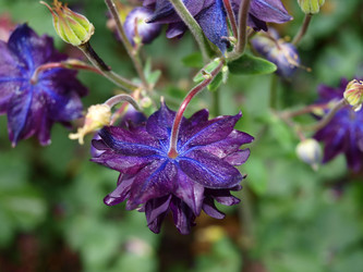 Similar image 805167