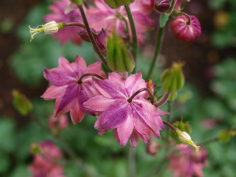 Similar image 805172