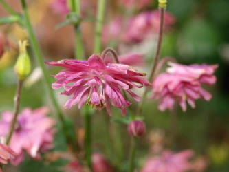 Similar image 805174