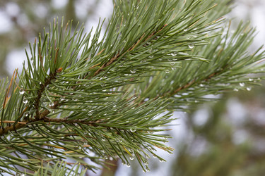 Similar image 805184