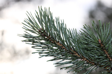 Similar image 805187