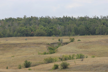 Similar image 805234