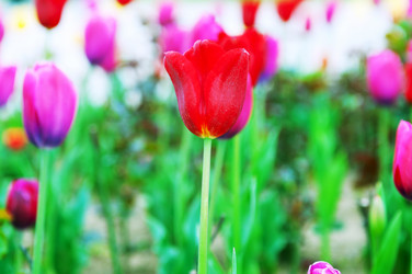 Similar image 805238