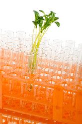 Similar image 805253