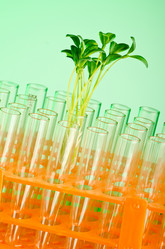 Similar image 805255