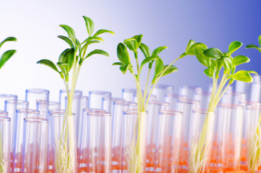 Similar image 805257