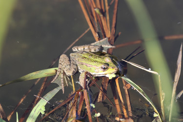 Similar image 805323