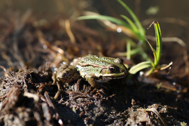 Similar image 805325