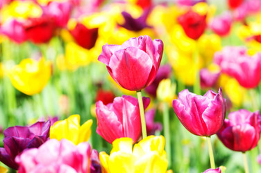 Similar image 805330