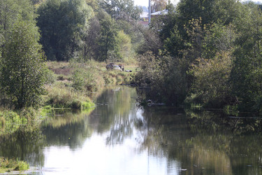 Similar image 805331