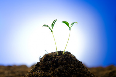 Similar image 805335