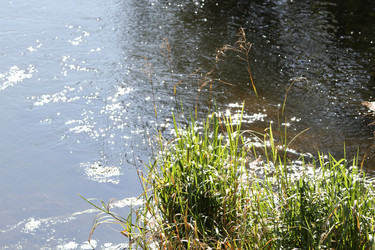 Similar image 805345