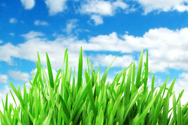 Similar image 805346