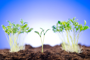 Similar image 805386