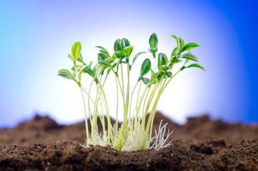 Similar image 805388