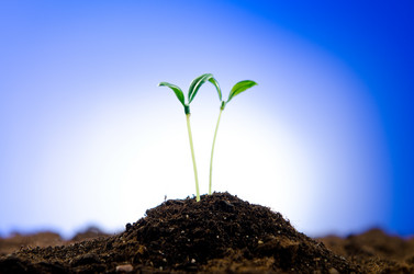 Similar image 805389