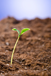 Similar image 805391