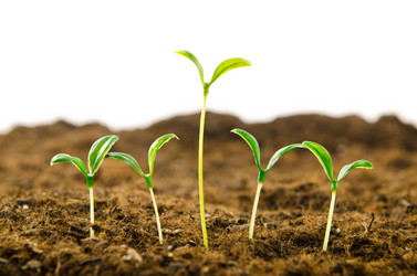 Similar image 805393