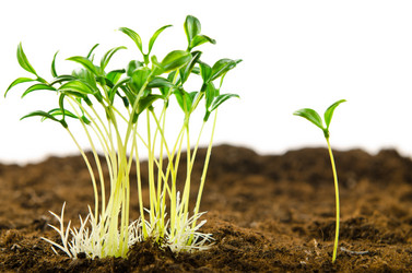 Similar image 805395