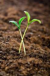 Similar image 805397