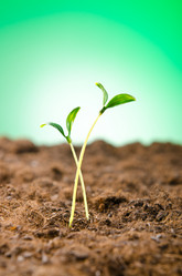 Similar image 805398