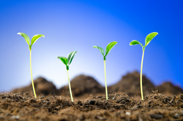 Similar image 805400