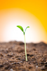 Similar image 805402