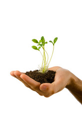 Similar image 805422