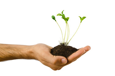 Similar image 805424