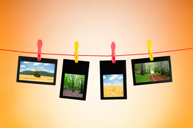 Similar image 805477