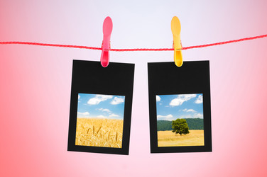 Similar image 805486