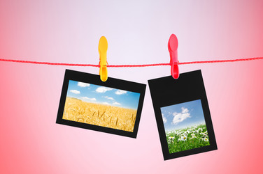 Similar image 805493