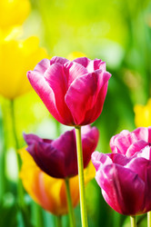 Similar image 805495