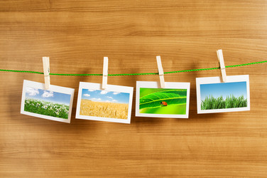 Similar image 805496