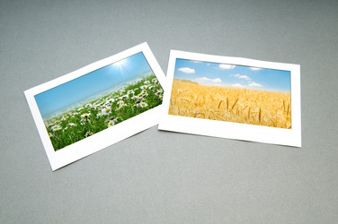 Similar image 805593