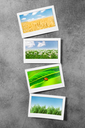 Similar image 805604