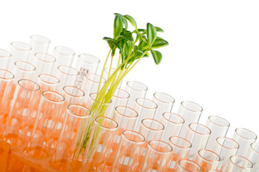 Similar image 805607