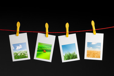 Similar image 805631