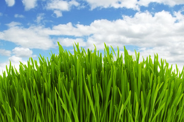 Similar image 805782