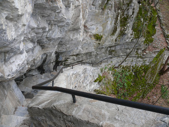 Similar image 805829