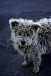 Similar image 805847