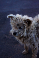 Similar image 805849